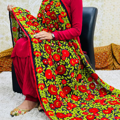 Phulkari Suits