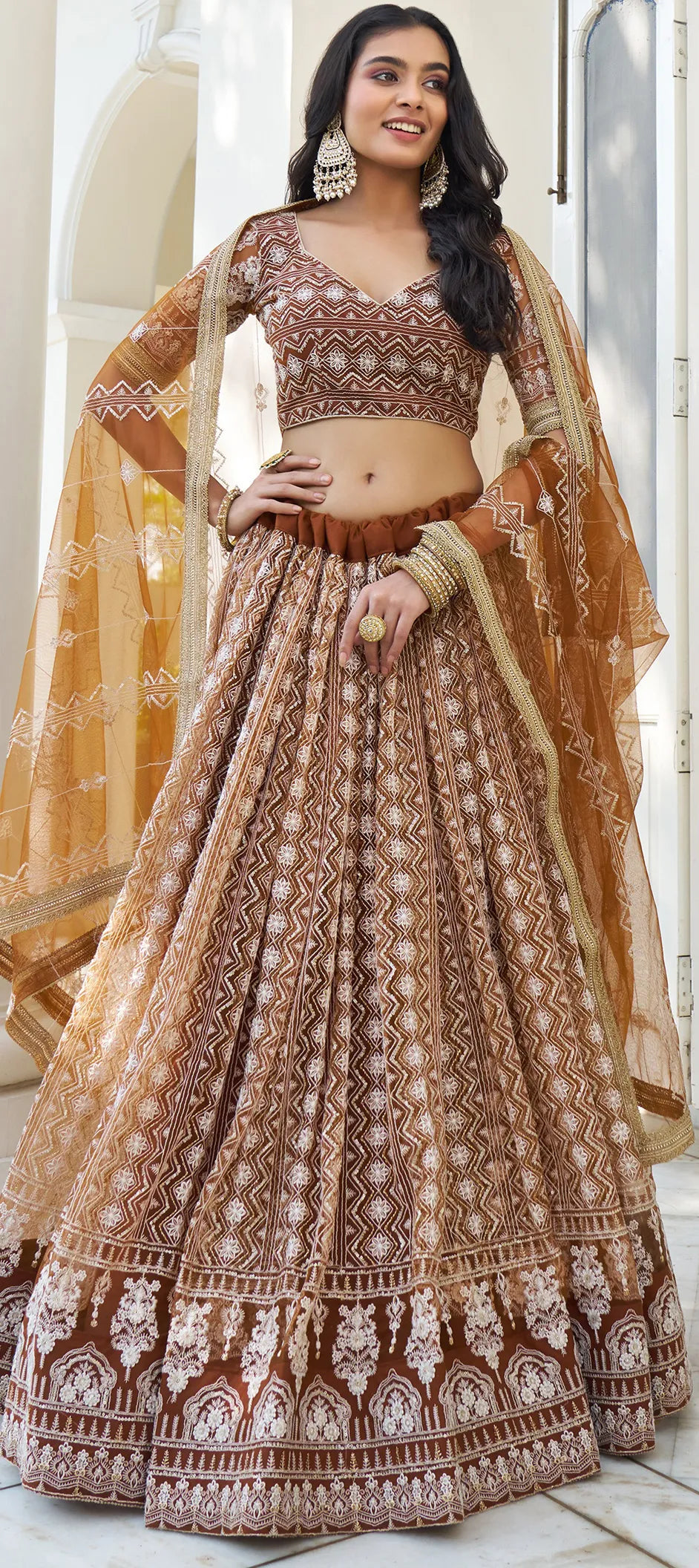 Light Brown A-Line Net Party Wear Lehenga Choli with Resham and Sequins Work