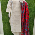 Design 1 - Chikankari Kurti with Chikan Afghani and Handworked Super Champ Raw Silk Dupatta