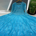 Aqua Blue 56 Kali Dye Mirror Lucknowi Chikankari Anarkali Kurta Up to 4XL