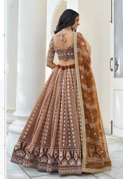 Light Brown A-Line Net Party Wear Lehenga Choli with Resham and Sequins Work