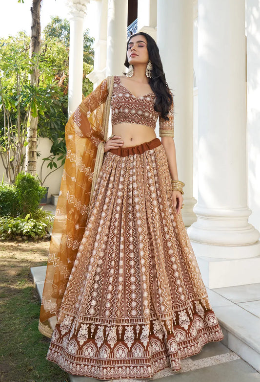 Light Brown A-Line Net Party Wear Lehenga Choli with Resham and Sequins Work