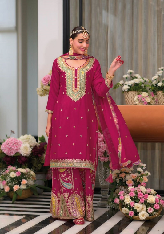 Pink Exclusive Punjabi Salwar Kameez Set with Heavy Embroidery and Sequins Work