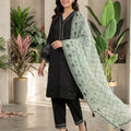 Black Sequence Embroidered Roman Silk Top, Palazzo & Mint Green Dupatta Set