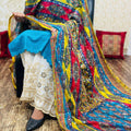 Blue Pakistani Fusion Chikankari Suit with Embroidered Dupatta