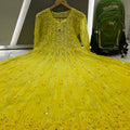 Green 56 Kali Dye Mirror Lucknowi Chikankari Anarkali Kurta Up to 4XL