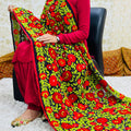 Design 13 - Georgette Red Patiala Salwar Suit with Phulkari Dupatta + Sizes