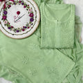 Pista Green Handcrafted Lucknowi Chikankari Style Rayon Kurti Set