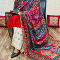 Red 3 Pakistani Fusion Chikankari Suit with Embroidered Dupatta